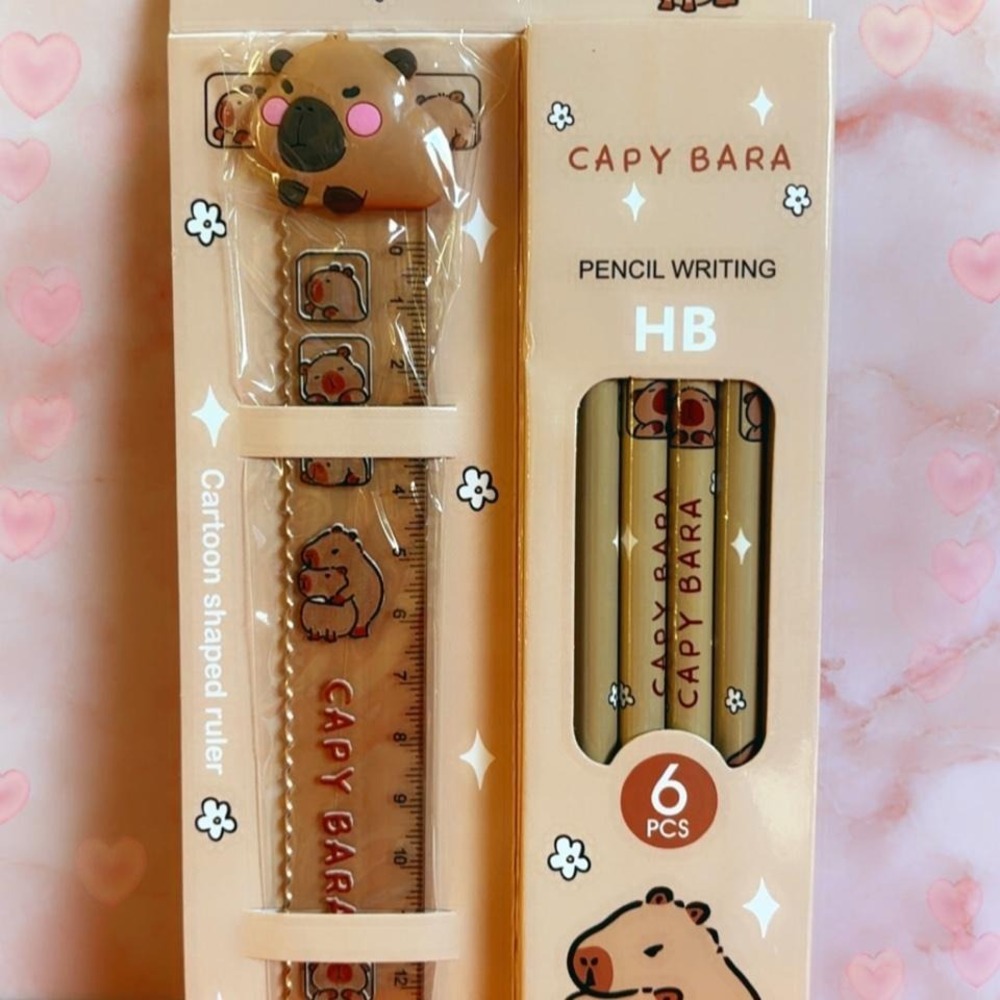 CAPYBARA PENCILS RULER SET MINI SET NEW